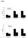 Fig. 10 - Enhancing cell migration by increasing telomerase activity