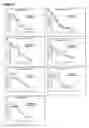 Fig. 20 - Enhancing cell migration by increasing telomerase activity