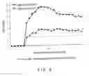 Fig. 06 - Dendritic cell presenting a-glycosylceramide derivative and antigent and usable in suppressing immune response