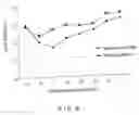Fig. 07 - Dendritic cell presenting a-glycosylceramide derivative and antigent and usable in suppressing immune response