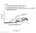 Fig. 08 - Dendritic cell presenting a-glycosylceramide derivative and antigent and usable in suppressing immune response