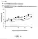 Fig. 09 - Dendritic cell presenting a-glycosylceramide derivative and antigent and usable in suppressing immune response