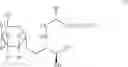 Fig. 20 - Dendritic cell presenting a-glycosylceramide derivative and antigent and usable in suppressing immune response