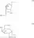 Fig. 53 - Dendritic cell presenting a-glycosylceramide derivative and antigent and usable in suppressing immune response