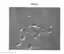 Fig. 02 - Cartilage-derived stem cells and applications thereof