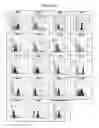 Fig. 03 - Cartilage-derived stem cells and applications thereof