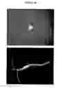 Fig. 08 - Cartilage-derived stem cells and applications thereof