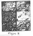Fig. 09 - Methods and compositions for the repair and/or regeneration of damaged myocardium