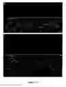 Fig. 109 - Methods and compositions for the repair and/or regeneration of damaged myocardium
