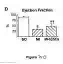 Fig. 119 - Methods and compositions for the repair and/or regeneration of damaged myocardium