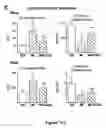 Fig. 120 - Methods and compositions for the repair and/or regeneration of damaged myocardium