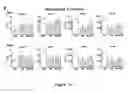 Fig. 121 - Methods and compositions for the repair and/or regeneration of damaged myocardium