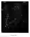 Fig. 127 - Methods and compositions for the repair and/or regeneration of damaged myocardium