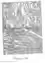 Fig. 13 - Methods and compositions for the repair and/or regeneration of damaged myocardium