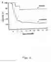 Fig. 15 - Methods and compositions for the repair and/or regeneration of damaged myocardium