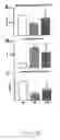 Fig. 17 - Methods and compositions for the repair and/or regeneration of damaged myocardium