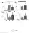 Fig. 24 - Methods and compositions for the repair and/or regeneration of damaged myocardium
