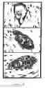 Fig. 27 - Methods and compositions for the repair and/or regeneration of damaged myocardium