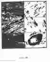 Fig. 29 - Methods and compositions for the repair and/or regeneration of damaged myocardium