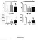 Fig. 38 - Methods and compositions for the repair and/or regeneration of damaged myocardium
