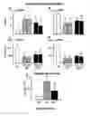 Fig. 88 - Methods and compositions for the repair and/or regeneration of damaged myocardium