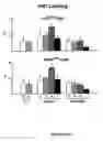 Fig. 94 - Methods and compositions for the repair and/or regeneration of damaged myocardium
