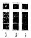 Fig. 04 - Neuronal regeneration and compound administration methods