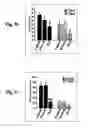 Fig. 08 - Neuronal regeneration and compound administration methods