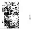 Fig. 07 - Methods of inhibiting angiogenesis-dependent conditions mediated by cryptic epitopes of extracellular matrix components