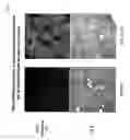 Fig. 10 - Methods for treating tweak-related conditions