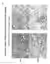 Fig. 14 - Methods for treating tweak-related conditions