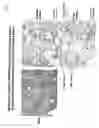 Fig. 15 - Methods for treating tweak-related conditions