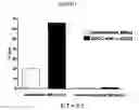 Fig. 02 - Methods and compositions for increasing the efficiency of therapeutic antibodies using alloreactive natural killer cells