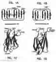 Fig. 02 - Artificial antibody polypeptides