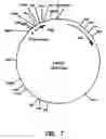 Fig. 08 - Artificial antibody polypeptides