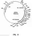 Fig. 09 - Artificial antibody polypeptides