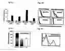 Fig. 07 - T cell regulation