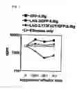 Fig. 08 - T cell regulation