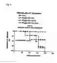 Fig. 09 - T cell regulation
