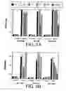 Fig. 07 - ANTI-HIV IMMUNOGENIC FORMULATION AND PROCESS FOR PREPARATION THEREOF