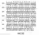 Fig. 07 - Optimized expression of HPV 45 L1 in yeast