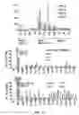 Fig. 04 - Methods of potentiating HIV-1-specific CD8+ immune responses involving the concomitant administration of DNA and ALVAC expression vectors