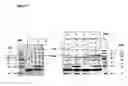 Fig. 02 - Neisserial vaccine compositions comprising a combination of antigens