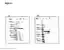Fig. 03 - Neisserial vaccine compositions comprising a combination of antigens