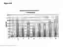 Fig. 11 - Neisserial vaccine compositions comprising a combination of antigens