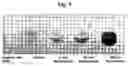 Fig. 06 - Lubricious eluting polymer blend and coating made from the same