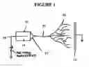 Fig. 02 - Tissue engineered blood vessels