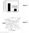 Fig. 02 - Elastin stabilization of connective tissue