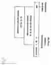 Fig. 06 - Carnitine retention