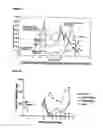 Fig. 06 - Methodologies for improving the quality of meat, health status of animals and impact on environment